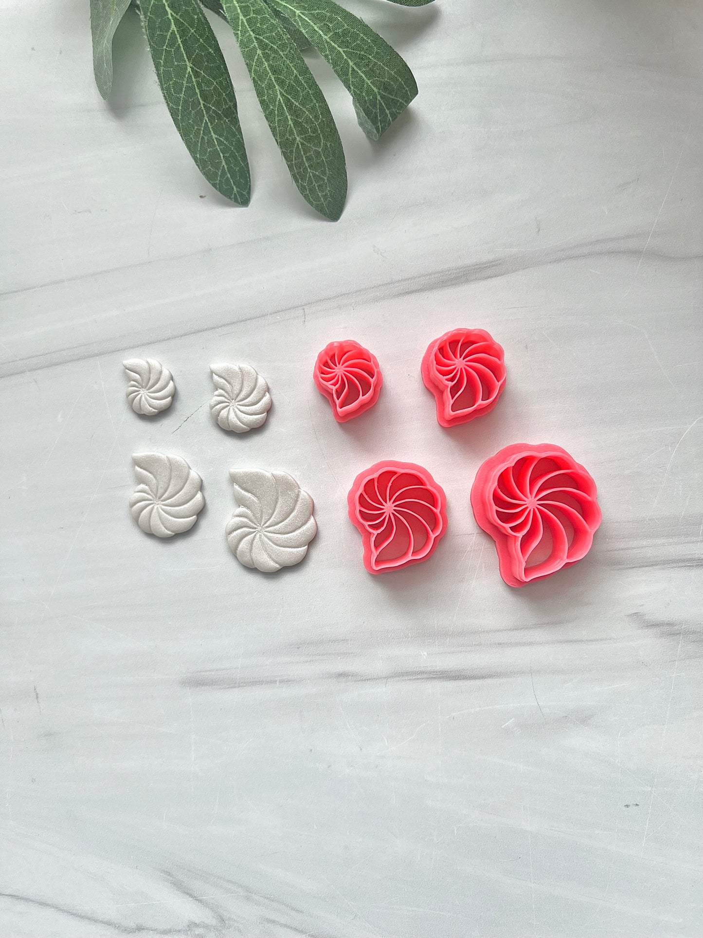 Seashell C Cutter