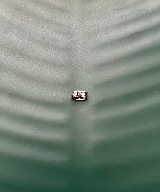 5x4mm Stainless Steel Butterfly Earring Backs