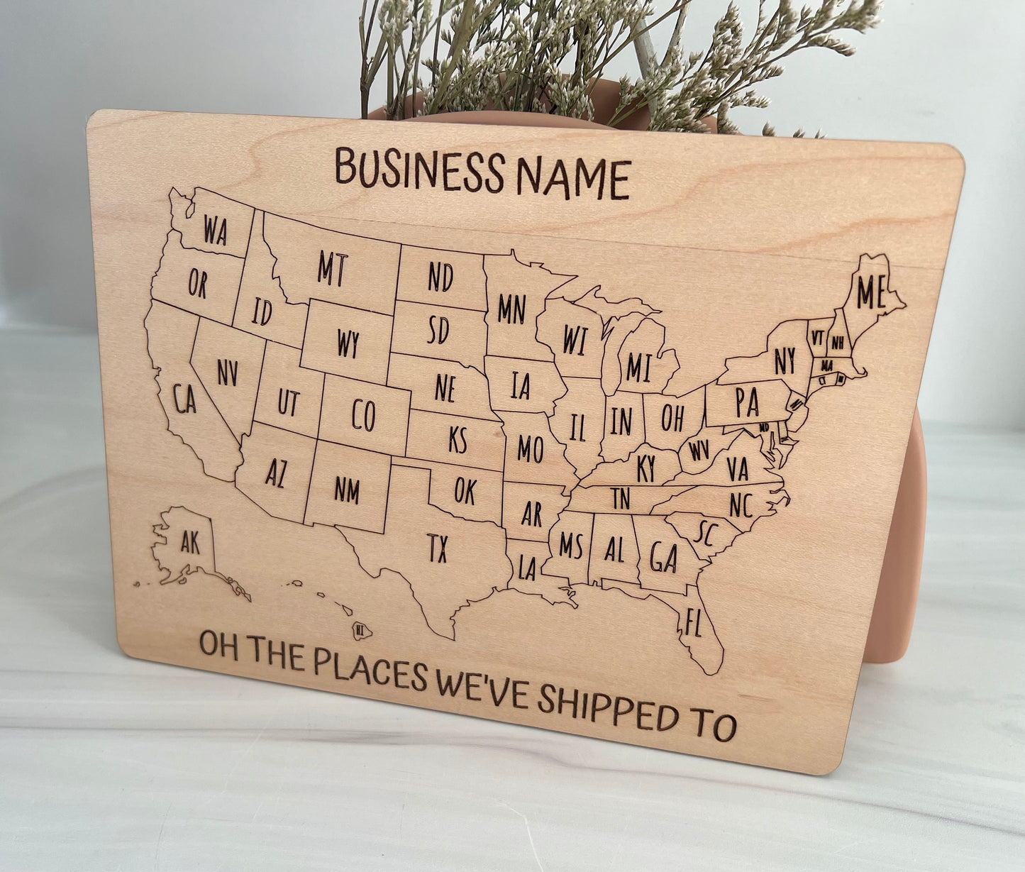 Custom Business Sales Tracker - United States Map